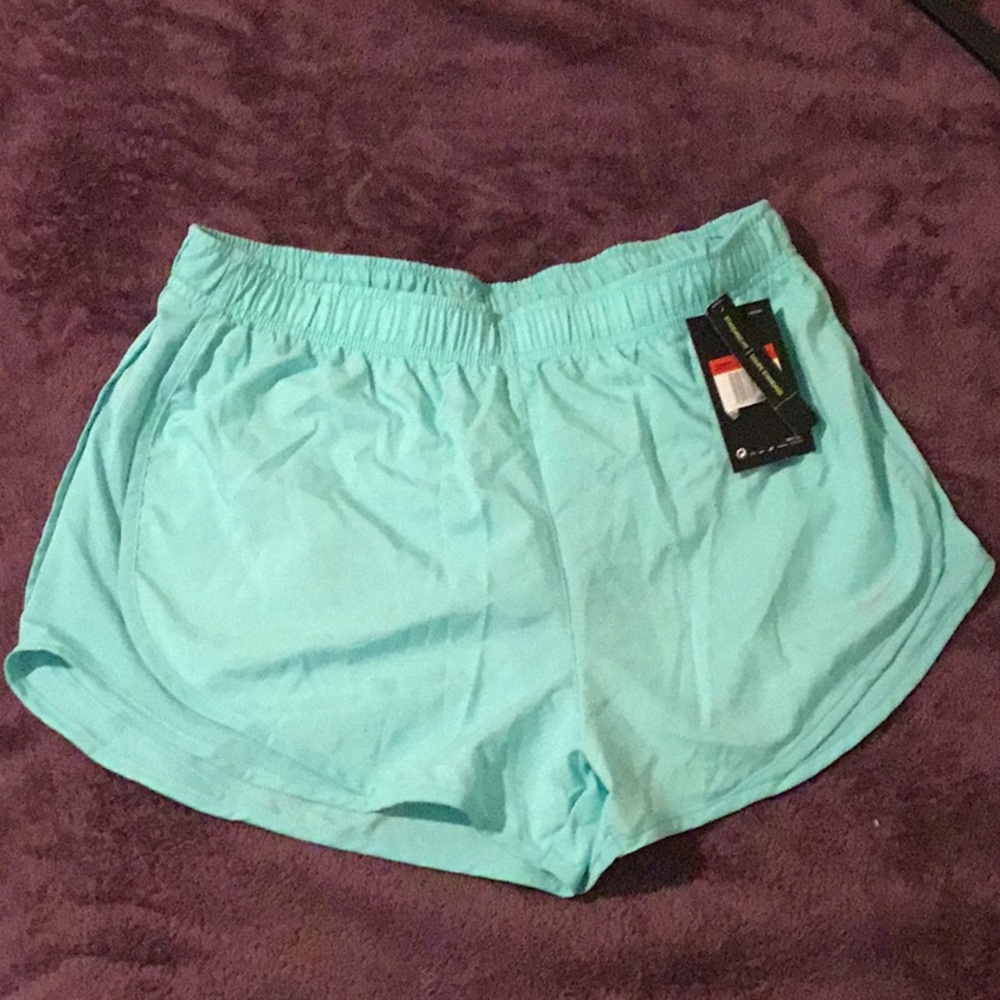 NWT Nike Dry Fit Shorts, Size Large
